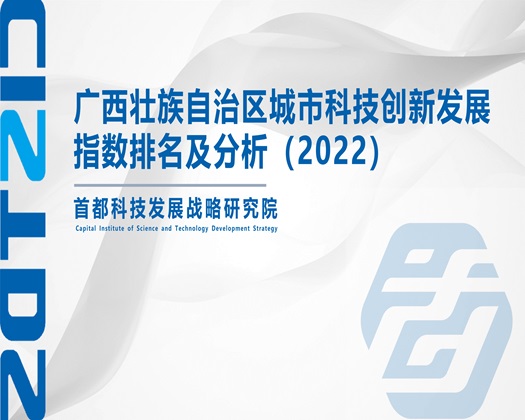 有趣的操逼视频【成果发布】广西壮族自治区城市科技创新发展指数排名及分析（2022）